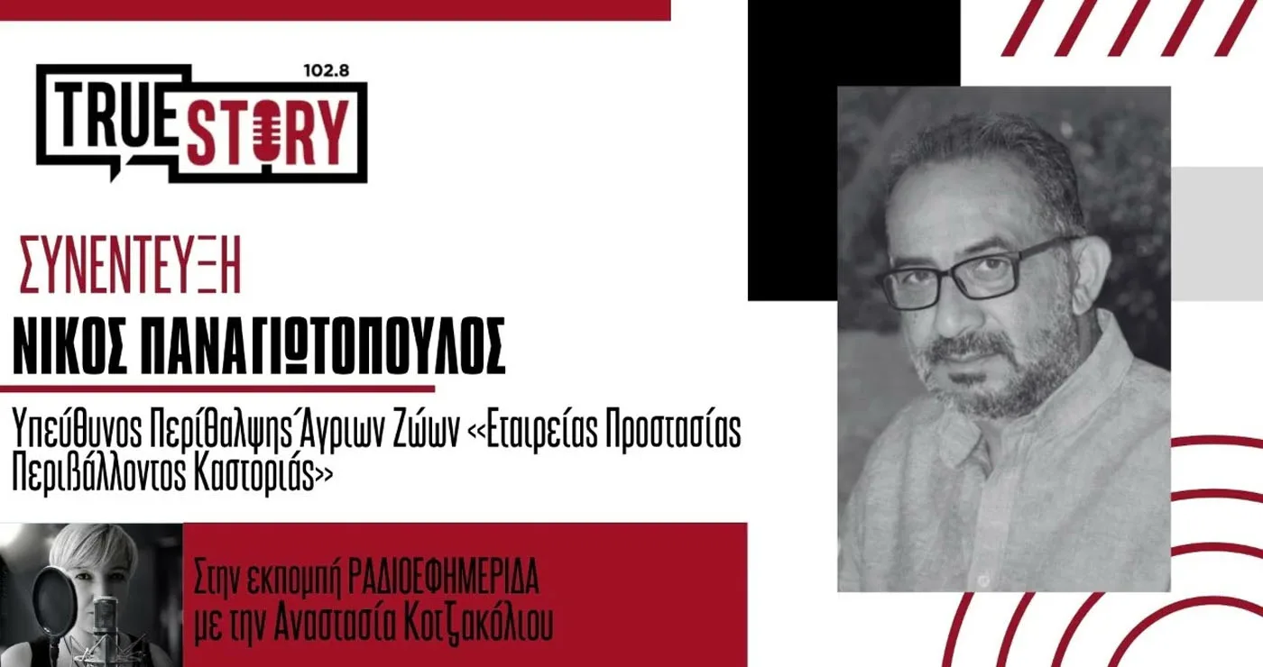 Νίκος Παναγιωτόπουλος: Αν δεν γίνει καταμέτρηση των λύκων δεν μπορούμε να μιλάμε για αύξηση πληθυσμού