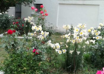 Το σπίτι του παππού: Κύκνειο άσμα μιας ιστορίας 80 χρόνων στην Πτολεμαΐδα…!