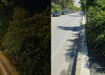 Πτολεμαΐδα: Όταν τα δέντρα… αποφασίζουν να «καταλάβουν» το πεζοδρόμιο!