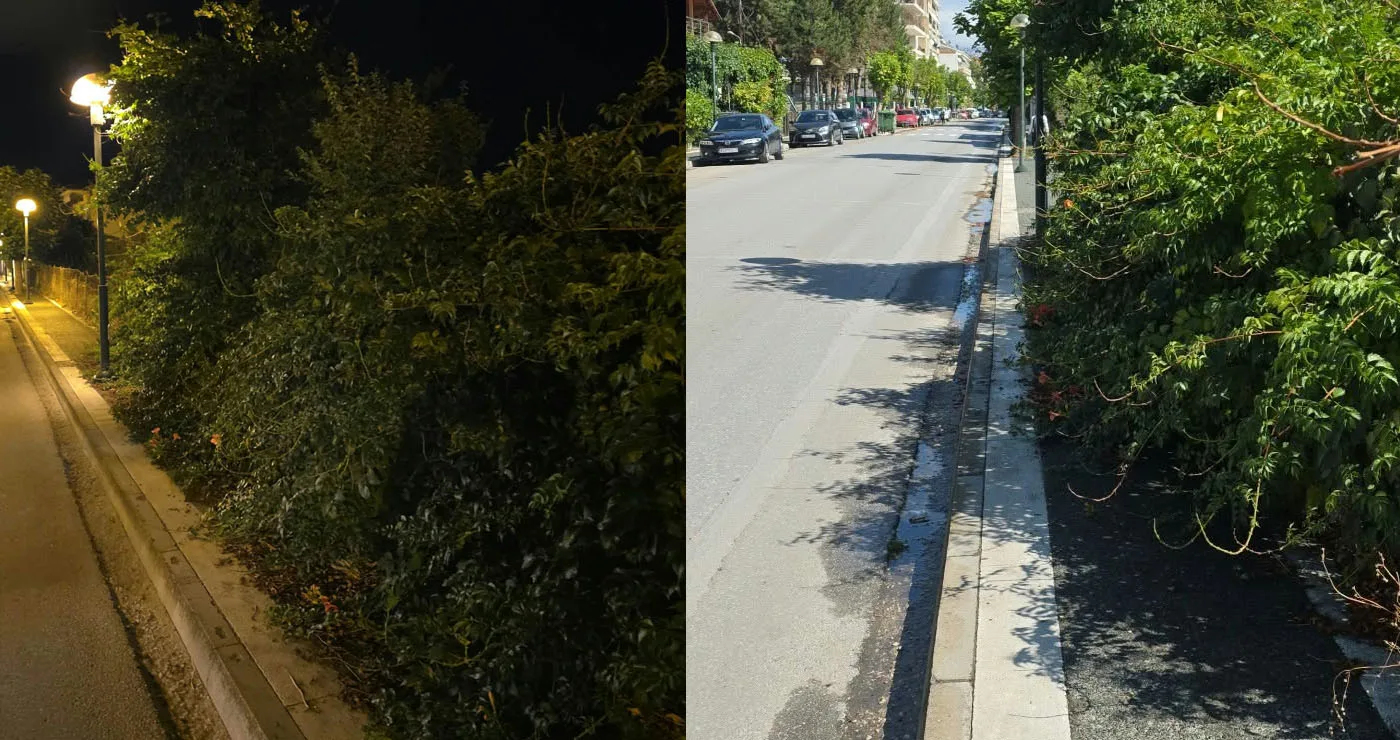 Πτολεμαΐδα: Όταν τα δέντρα… αποφασίζουν να «καταλάβουν» το πεζοδρόμιο!