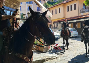 Βλάστη Εορδαίας: Μια παράδοση που «καλπάζει» – Περισσότερα από 180 άλογα στην 7η Ορεινή Ιππική Συνάντηση