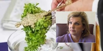Βασιλική Βόντσα: «Με πολύ καλούς οιωνούς ανοίγουν τα σχολεία»  – Πού παραμένουν κενά σε γυμνάσια και λύκεια στο Ν. Κοζάνης