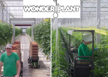 ΒΙΝΤΕΟ: Έτσι θα είναι η Wonderplant στην Πτολεμαΐδα – Εικόνες τόσο εντυπωσιακές που μοιάζουν με AI