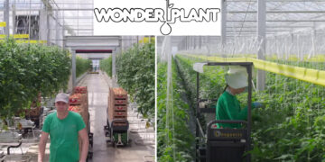 ΒΙΝΤΕΟ: Έτσι θα είναι η Wonderplant στην Πτολεμαΐδα – Εικόνες τόσο εντυπωσιακές που μοιάζουν με AI
