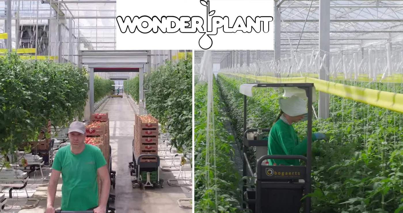 ΒΙΝΤΕΟ: Έτσι θα είναι η Wonderplant στην Πτολεμαΐδα – Εικόνες τόσο εντυπωσιακές που μοιάζουν με AI