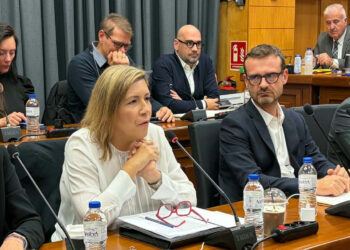 Δείτε ζωντανά  την κρίσιμη συνεδρίαση του Περιφερειακού Συμβουλίου Δυτικής Μακεδονίας για το επενδυτικό σχέδιο της ΔΕΗ
