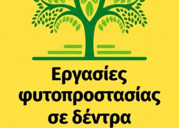Ένα πράσινο δέντρο με πυκνό φύλλωμα βρίσκεται στο κέντρο μιας διαφημιστικής εικόνας που ανακοινώνει τις εργασίες φυτοπροστασίας στον Δήμο Κοζάνης.