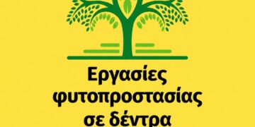 Ένα πράσινο δέντρο με πυκνό φύλλωμα βρίσκεται στο κέντρο μιας διαφημιστικής εικόνας που ανακοινώνει τις εργασίες φυτοπροστασίας στον Δήμο Κοζάνης.