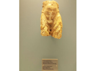Γλυπτά αγγεία 351-360 αρχαιοελληνικά σε ξένα Μουσεία   -Γράφει  ο Ευστάθιος Λαμπριανίδης