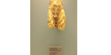 Γλυπτά αγγεία 351-360 αρχαιοελληνικά σε ξένα Μουσεία   -Γράφει  ο Ευστάθιος Λαμπριανίδης