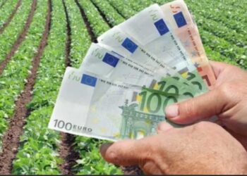 3,63 εκατ. ευρώ σε 7.715 καλλιεργητές μηδικής που επλήγησαν από τα μέτρα για την ευλογιά – Και στο Ν. Φλώρινας