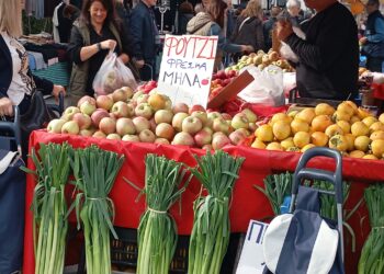 Το e-ptolemeos στη λαϊκή αγορά Πτολεμαΐδας: Τι λένε παραγωγοί και καταναλωτές για τιμές και προϊόντα