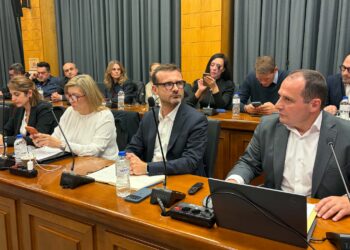 Αλ. Παΐζης(Αν. Δ/νων Σύμβουλος ΔΕΗ): «Η ΔΕΗ μένει εδώ- Οικονομική εμβέλεια πολύ μεγαλύτερη της Δυτικής Μακεδονίας»
