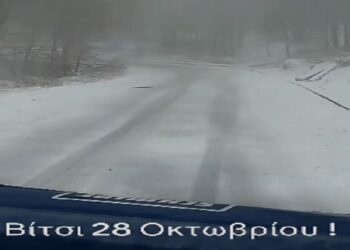 Ο πρώτος αποχιονισμός του χειμώνα στο Βίτσι (video)